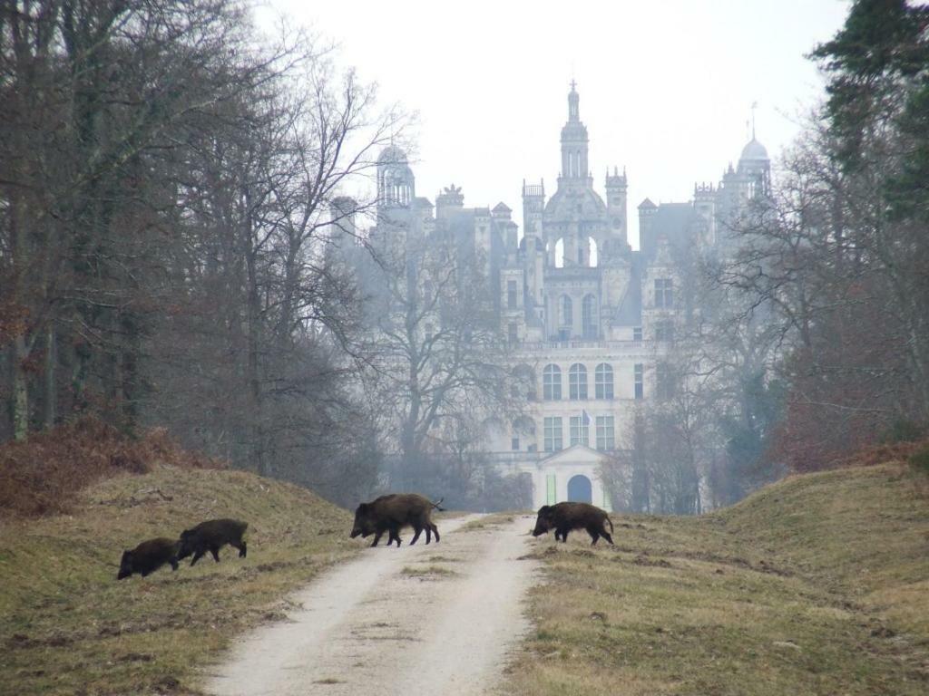 Hotel La Cour Du Moulin Mer Exteriér fotografie
